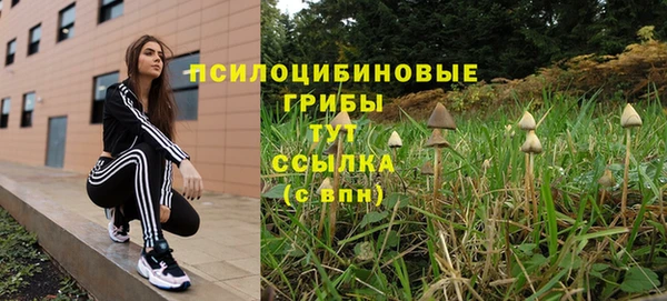 ГАЛЛЮЦИНОГЕННЫЕ ГРИБЫ Волоколамск