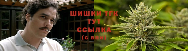 прущая мука Вяземский
