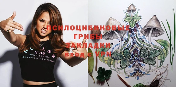 ГАЛЛЮЦИНОГЕННЫЕ ГРИБЫ Волоколамск