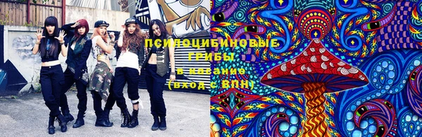 дурь Володарск