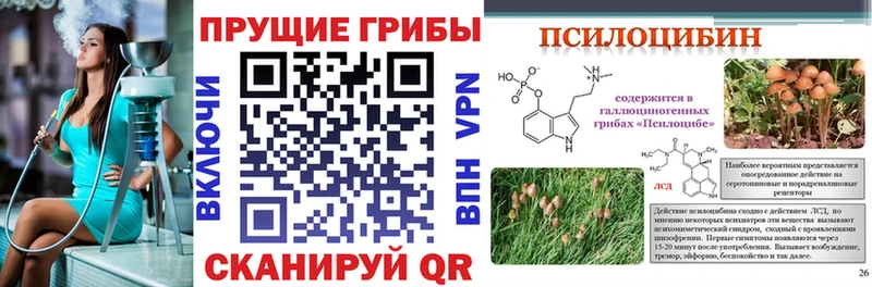 Псилоцибиновые грибы мицелий  darknet Telegram  Зверево 